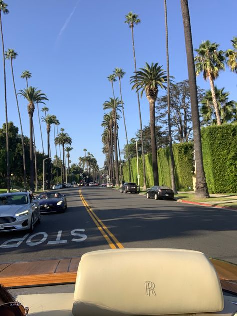 Palmtrees Aesthetic, La Aesthetic, Los Angeles Aesthetic, Foto Glamour, La Life, Cali Life, California Vibe, Usa States, Aesthetic Nature