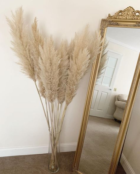 Grass Plants, Dried Pampas, Grass Decor, Pampas Grass Decor, Pampas Gras, Flower Gifts, Dried Flower Arrangements, Home Decor Lights, Boho Home