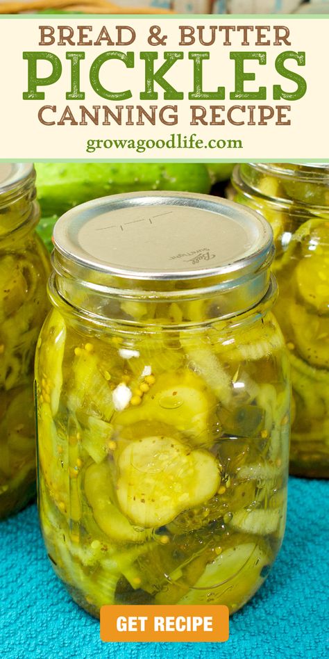 Bread And Butter Pickles Homemade Easy, Million Dollar Pickles, Bread And Butter Pickles Canning, Bread And Butter Pickle Recipe, Canning Sweet Pickles, Homemade Bread And Butter Pickles, Pickles Homemade Easy, Bread And Butter Pickles Recipe, Canning Pickles Recipe