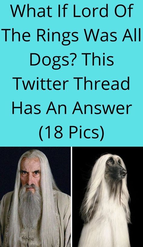 What If Lord Of The Rings Was All Dogs? This Twitter Thread Has An Answer (18 Pics) Smaug Dragon Hobbit, Lord Of The Rings Pause Game, Fellowship Of The Ring Fanart, Lotr Legolas Fanart, Lord Of The Rings Names, Lord Of The Rings Knitting Patterns, Lord Of The Rings Crochet Patterns, Lotr Headcanons, Faramir Lotr