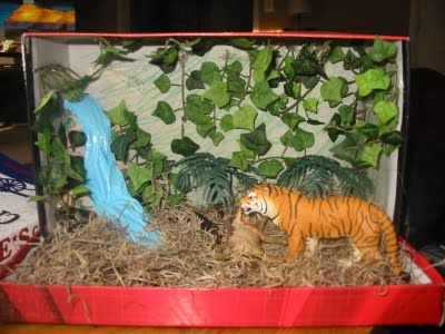 making animals for diorama | ... diorama of an animal in its habitat. Brad chose the Sumatran Tiger Tiger Habitat, Diorama Kids, Diarama Ideas, Habitats Projects, Animal Report, Big School, Animal Lessons, Kindergarten Projects, Sumatran Tiger