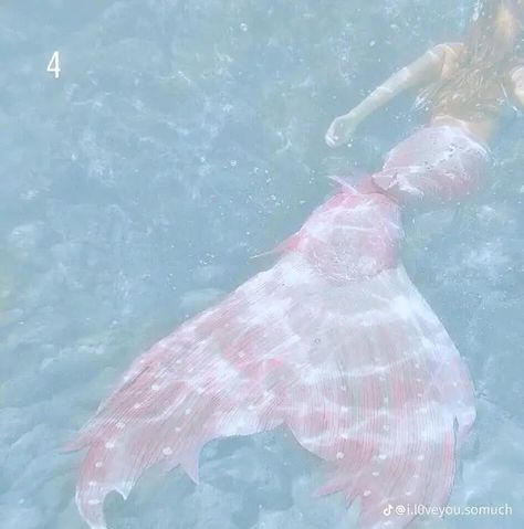 Mermaid Tail Aesthetic, Siren Tail, Pink Mermaid Tail, Blue Mermaid Tail, No Ordinary Girl, Coconut Dream, Mermaid Cove, Siren Mermaid, Mermaid Pink