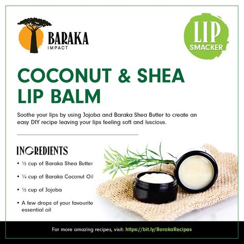 Make this Coconut and Shea Butter Lip Balm to leave your lips feeling soft and luscious all day long! The three star ingredients in the recipe are known for their healing and moisturizing benefits and this lip balm takes less than 5 minutes to make! Shea Butter Lip Balm Diy, Coconut Oil Lip Balm, Shea Butter Recipes, Shea Butter Lip Balm, Coconut Lip Balm, Diy Coconut, Lip Balm Recipes, Herb Recipes, Diy Lip Balm