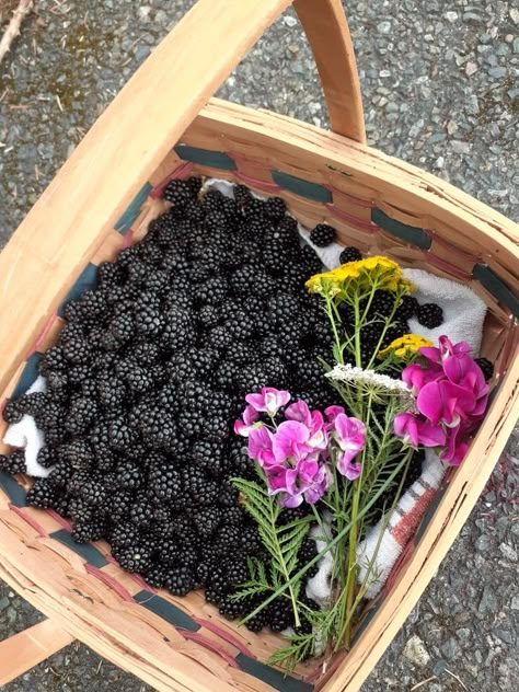 Freshly picked blackberries from Washington state also some wildflowers Washington State Food, Blackberry Picking Aesthetic, Blackberry Aesthetic, Washington State Aesthetic, Picking Blackberries, Seattle Living, Aurora Aesthetic, Blackberry Sangria, Blackberry Plants