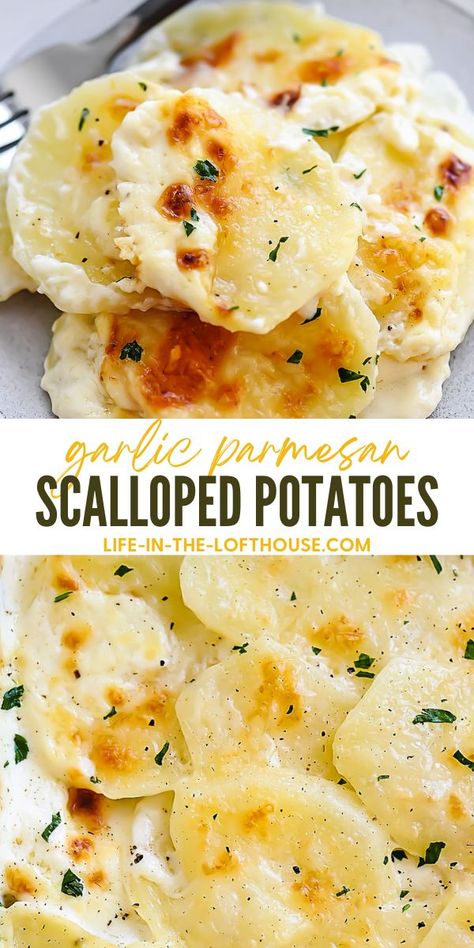 Garlic Parmesan Scalloped Potatoes - Life In The Lofthouse Parmesean Potatoes, Potato Caserole, Shredded Chicken Dishes, Parmesan Scalloped Potatoes, Creamy Garlic Potatoes, Cheese Scalloped Potatoes, Life In The Lofthouse, Creamy Scalloped Potatoes, Garlic Parmesan Potatoes