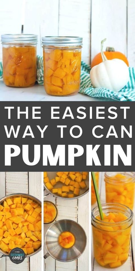 Canning Pumpkin Puree, Canning Pumpkin, Canning Squash, Can Pumpkin, Pumpkin Puree Recipes, Pressure Canning Recipes, Canning Fruit, Frozen Pumpkin, Home Canning Recipes