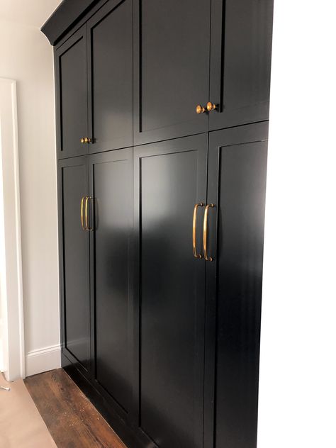 Black Built In Closet, Black Bedroom Cupboards, Black Wardrobe Bedroom Ideas, Black Wardrobes, Black Built In Wardrobe, Black Built In Wardrobe Bedroom, Black Bedroom Cupboard Designs, Moody Closet, Black Wardrobe Bedroom