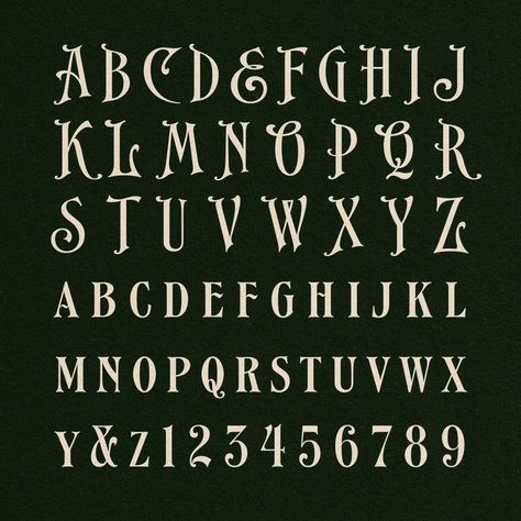 Gothic fonts from Ephemera: EFCO Songster and extras, including two sets of flourishes and 19th Century Typography, 19th Century Graphic Design, Fall Fonts Alphabet, Font Style Alphabet, Earthy Typography, Antique Font, Vintage Fonts Alphabet, Typography Composition, Mermaid Font