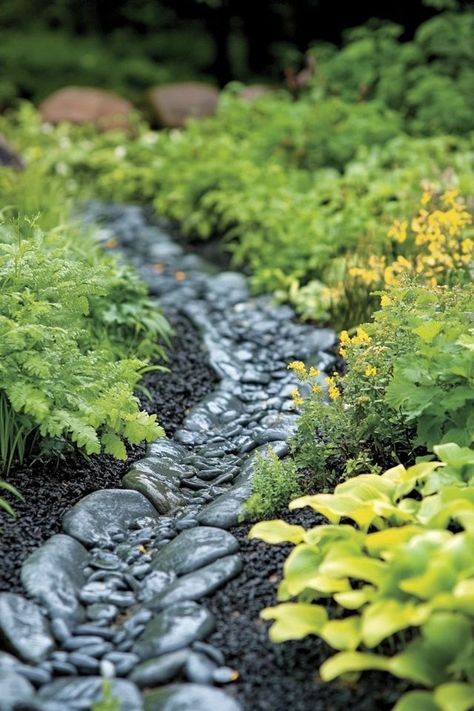 Native Plant Rain Garden, Residential Rain Garden, Rain Basin, Ecosystem Garden, Rainscaping Ideas, Rainwater Garden, Pathway Design, Rain Garden Design, Rain Harvesting