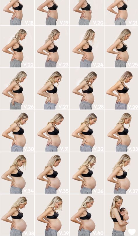 Pregnancy Belly Photos Bump Pictures, Weekly Baby Bump Pictures, Pregnancy Progress Pictures, Weekly Pregnancy Pictures, Baby Bump Progression, 24 Weeks Pregnant, Pregnancy Timeline, Baby Bump Pictures, Baby Announcement Photoshoot