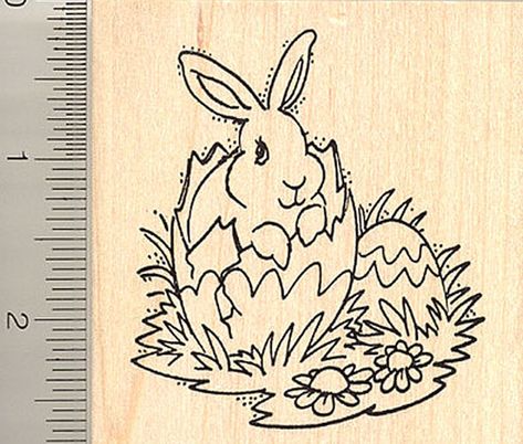 Bunny rabbit art