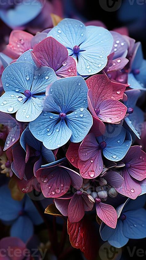 AI generated Hydrangea blue flower natural floral from farmland Dark Blue Hydrangea, Hydrangea Blue, Rain Art, Heart Tree, Cityscape Photos, Logo Banners, Blue Hydrangea, Nature Backgrounds, Heart With Arrow