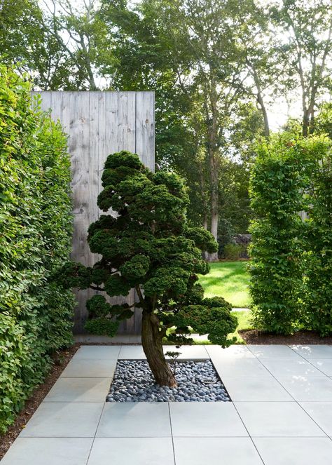 Amagansett House, Green Roof Planting, Roof Plants, Museum Garden, Hinoki Cypress, Tree Decor Ideas, Nature Museum, Living Museum, Modern House Exterior Design