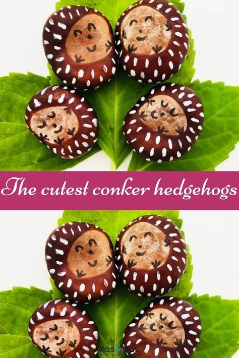 Conkers Craft, Høstaktiviteter For Barn, Afternoon Crafts, Hedgehog Craft, Cute Hedgehog, Fall Crafts For Kids, Autumn Crafts, Childrens Crafts, Hedgehogs