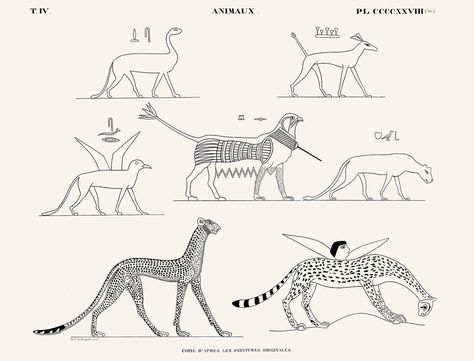 Public Domain Art Nouveau, Ancient Egypt Animals, Egypt Animals, Egyptian Artwork, Simbolos Tattoo, Egyptian Drawings, Vintage Egypt, Ancient Egypt Art, Free Illustration Images