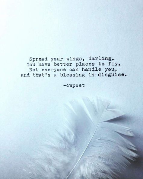 Spread your wings, darling. You have better places to fly. Not everyone can handle you, and that's a blessing in disguise. -c.w. poet Wings Quotes Inspiration, Blessing In Disguise Quotes, Spread Your Wings Quote, Soar Quotes, Angel Quotes Wings, Outgrow People, Commonplace Journal, Deserve Quotes, Caroline White