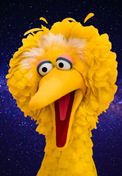 BIG BIRD *2X3 FRIDGE MAGNET* ACTOR CHILDREN'S TELEVISION TV SESAME STREET MUPPET Big Bird Sesame Street, Seaseme Street, Elmo And Friends, Bird Mask, Sesame Street Muppets, Bird Masks, Abstract Art Wallpaper, Jim Henson, Big Bird