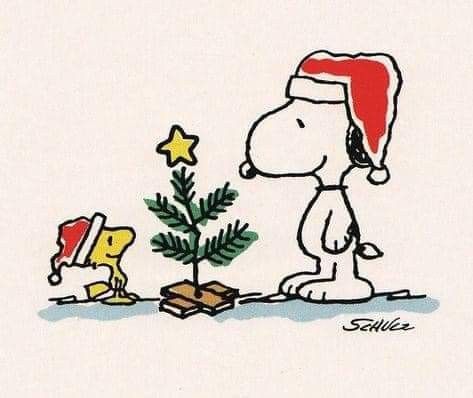 Snoopy Museum, Snoopy Drawing, Charlie Brown Tree, Charlie Brown Christmas Tree, Woodstock Snoopy, Cartoon Christmas Tree, Brown Tree, Christmas Tree Wallpaper, Snoopy Images