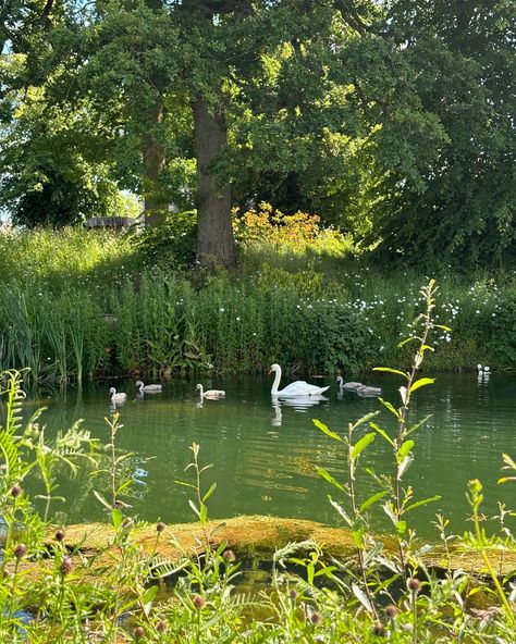 the countryside is flirting with me again Spanish Countryside, Countryside Aesthetic, Real Life, Angel, Instagram Photos, Photo And Video, Instagram Photo, On Instagram, Quick Saves