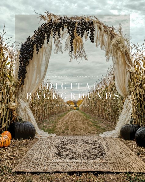 ✨New Autumn Collection: Cornfield Archway. 🎃🌽Step into the serenity of the countryside with our Rustic Harvest Archway digital backgrounds. Ideal for autumn-themed portraits, rustic wedding composites, and seasonal photo sessions. These backgrounds aren’t just tools; they are your partner in the journey to greater recognition and revenue with your clientele. 🛍️ Shop at the link in bio. 🥰 #AutumnPhotography #engagementphotography #RusticArchways #DigitalBackgrounds #HarvestSeason #FallPhot... Cornfield Wedding Ceremony, Cornfield Wedding, Venue Business, Corn Field, Autumn Collection, Harvest Season, Business Idea, Digital Backgrounds, Autumn Photography