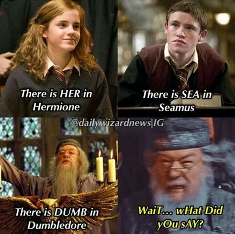 Citate Harry Potter, Glume Harry Potter, Funny Harry Potter Jokes, Harry Potter Memes Hilarious, Harry Potter Feels, Harry Potter Puns, Desenhos Harry Potter, Harry Potter Images, Images Harry Potter