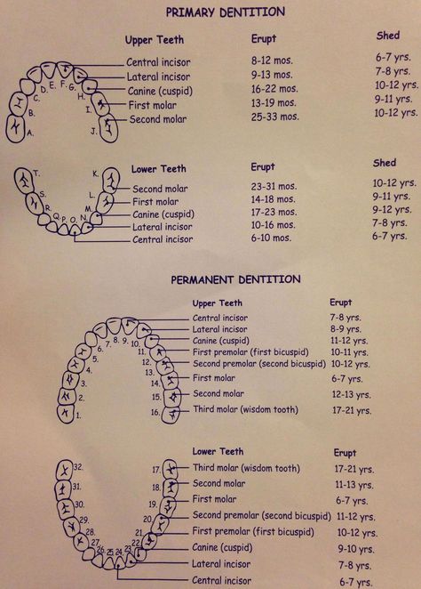 dental assistant hygienist hygiene oralgila #Wellness #Maintaining #Tips #Essential #Bright #Optimal #FitnessTips #SelfCare #Health #for #HealthTips #a #Smile #HealthyLiving #Dental Dental Abbreviations, Dental Assistant Study Guide, Dental Charting, Dental Hygiene Graduation, Dental Assistant School, Dental Hygienist School, Dental Assistant Study, Registered Dental Hygienist, Dental Hygiene Student