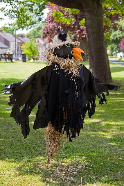 Crow scarecrow | Kane Young | Flickr Garden Scarecrow Ideas, Crow Scarecrow, Garden Scarecrow, Scarecrow Ideas, Scarecrow Decorations, Scary Scarecrow, Scarecrow Festival, Make A Scarecrow, Scarecrows For Garden