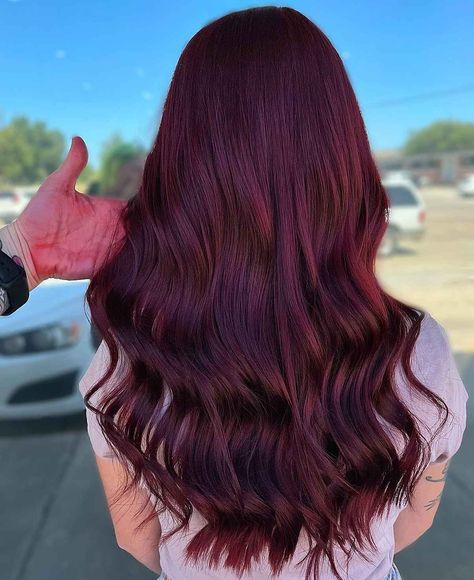 These Are The Top 20 Hair Color Ideas for Winter 2021-22 Mulberry Wine Hair Color, Mulberry Hair Color With Highlights, Red Lavender Hair, Colours To Dye Your Hair, Girl Hair Color Ideas, Mulberry Hair Color, Winter Hair Colours, Mulberry Hair, Raspberry Hair Color