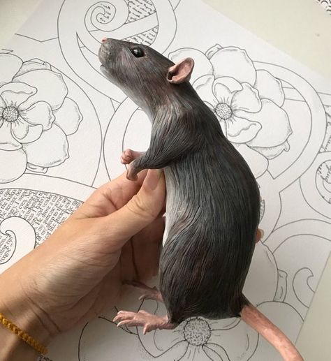 Rat MADE to ORDER Ooak polymer clay sculpture Siamese Dumbo Bald Hamster, Dumbo Art, Ceramic Mice, Rat Illustration, Arte Indie, Sculpture Art Clay, Polymer Clay Sculptures, Polymer Clay Animals, Pet Rats