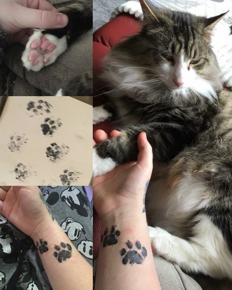 Cat paw print tattoo best friend black and grey wrist piece 🐾🖤 Pas Print Tattoo, Pet Tattoos Cat Paw Prints, Kitten Paw Print Tattoo, Cat Paw Print Tattoo Placement, Paw Print Tattoo On Wrist, Real Paw Print Tattoo, Paw Cat Tattoo, Paw Tattoo Cat, Cat Paw Print Tattoo Ideas