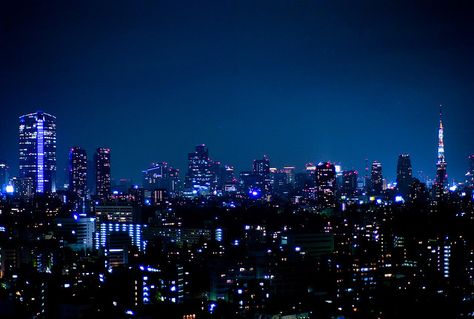 Things To Do In Tokyo, Night Skyline, Tokyo Night, Tokyo City, Widescreen Wallpaper, Breathtaking Places, Night Scenery, Blue City, City Vibe