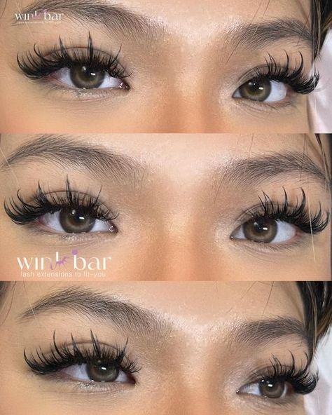 Doll Lashes Extensions, Squirrel Lash Extensions, Eyelash Extensions For Asian Eyes, Monolid Lash Extensions, Manga Lashes Extensions, Doll Lash Extensions, Hybrid Doll Eye Lash Extensions, Doll Eyelash Extensions, Anime Lash Extensions