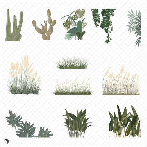 Flat Vector Scene Plants #brushprocreate #brushesillustrator #photoshopbrushes #vectorbrushes #brushesinstagram #facebookbrushes #brushesdownload #brushesfree Architecture Illustration Photoshop, Plant Drawings, Landscape Architecture Graphics, Architectural Plants, Photoshop Rendering, Landscape Architecture Drawing, Architectural Presentation, Interior Architecture Drawing, Vector Trees