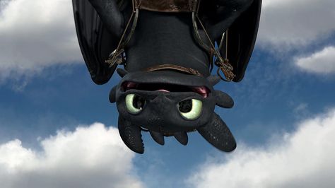 Chimuelo ♥  Cute Toothless Pic by CitoNocteDraconis.deviantart.com on @deviantART Toothless Funny, Toothless Tattoo, Toothless Wallpaper, Cute Toothless, Httyd Toothless, Toothless And Stitch, Fun Fact Friday, Toothless Dragon, Hiccup And Toothless