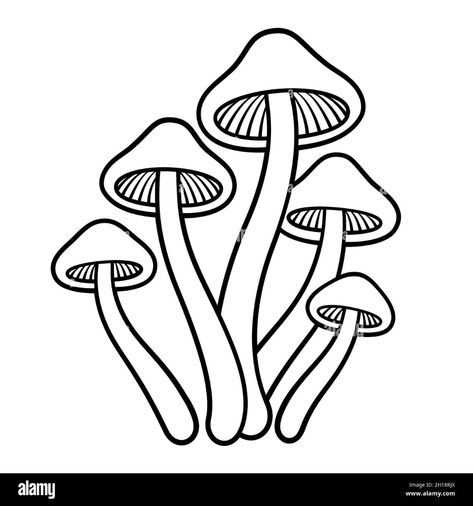 Mushroom Coloring, Punk Fashion Diy, Cats Art Drawing, Mushroom Paint, Mushroom Tattoos, Mushroom Drawing, Shadow Art, Zentangle Drawings, Black And White Lines