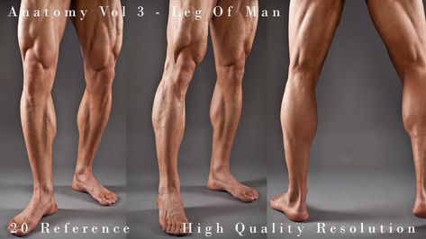 Arm Veins, How To Draw Muscles, Leg Anatomy, Muscular Legs, Muscle Anatomy, Human Anatomy Art, People Poses, The Body Book, Texture Photography