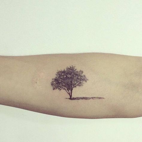 Tree … Tattoo Trees, Aspen Trees Tattoo, Model Tattoos, Forest Tattoos, Tree Tattoo Designs, Small Tattoos Simple, Tree Of Life Tattoo, E Tattoo, Tattoo Life