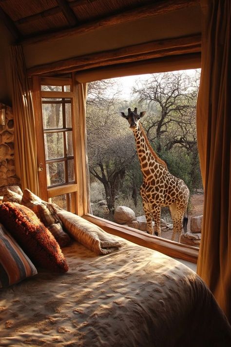 "Immerse yourself in adventure with a stay at a safari lodge in South Africa! 🦁🌿 Experience thrilling wildlife encounters and luxurious comfort in the heart of the savannah. 🏕️🌍 #SafariLodge #SouthAfrica #WildlifeAdventure" Safari Hotel Africa, Africa Luxury Resort, South Africa Luxury Travel, Africa Safari Aesthetic, South Africa Safari Lodge, Africa Safari Travel, Giraffe Hotel, Africa Savannah, Africa Safari Lodge