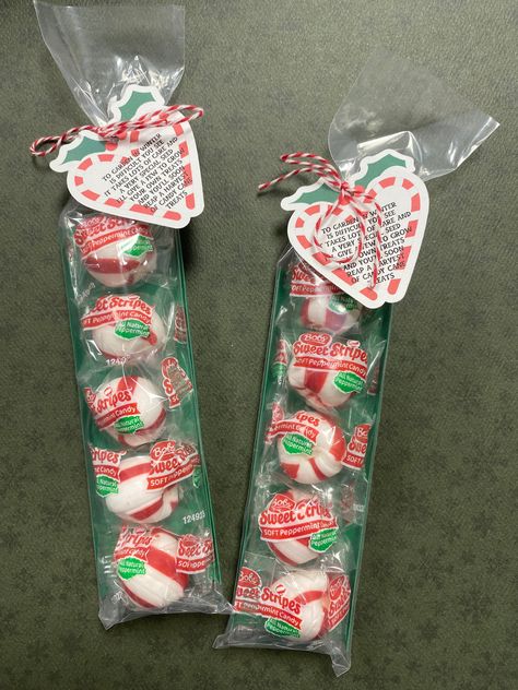 Ever wonder how candy canes are made? Now you can plant your own! Each treat comes with five individually wrapped Bob's sweet stripe candies to either eat or plant, your choice lol **no guarantee candies will grow actual candy canes Christmas Bakesale, Candy Cane Seeds, Tinsel Ideas, Blessings Party, 2024 Holidays, Prek Christmas, Candy Cone, Christmas Candy Gifts, Magic Reindeer Food