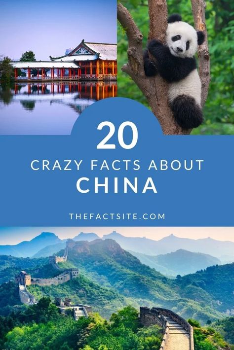 China is one of the biggest countries in the world and is the most populous. This unique country was historically isolated from the rest of the world but has opened up in recent years. This has given us a rare glimpse into its special and unique culture and landscapes. China has so much to offer, and we've dug deep to bring you 20 amazing facts that you might not have known before. Come and check them out! #TheFactSite #Facts #China #ChineseHistory #ChineseCulture #AsianCountries China For Kids, Meanwhile In Finland, Facts About China, China Facts, About China, Crazy Facts, Kunming, Big Country, Countries In The World