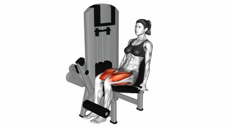 Seated Leg Extension, Calf Raises Exercise, Leg Extension Machine, Calf Press, Muscle Building Workout Plan, Dumbbell Back Workout, Leg Curl Machine, Seated Leg Curl, Lying Leg Curls