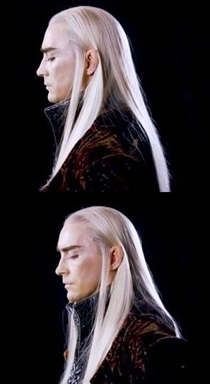 he has the cutest side profile ever Legolas Side Profile, Gouache Inspiration, The Hobbit Thranduil, Middle Earth Elves, Aragorn And Arwen, King Thranduil, Lee Pace Thranduil, Lotr Costume, Woodland Realm