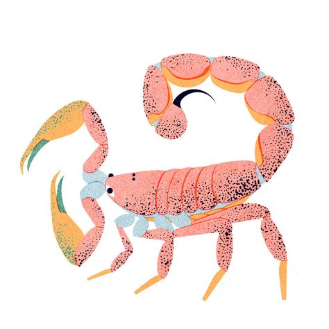 Scorpio Art, Aries Art, Story Books Illustrations, Childrens Drawings, Leaving Facebook, Zodiac Art, Creature Art, Cute Illustration, Scorpion