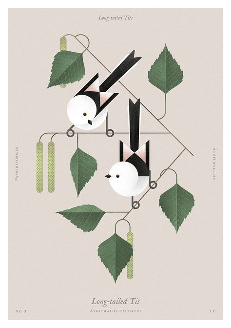 Beauty of birds on Behance Gig Poster, Bird Graphic, Bird Quilt, Soyut Sanat Tabloları, Plant Illustration, Bird Illustration, Nature Illustration, Birds Painting, Botanical Illustration