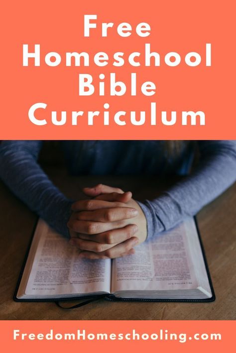 FREE homeschool Bible curriculum for all ages! #homeschool #free #Bible Elementary Bible Curriculum, Homeschool Bible Curriculum, Bible Homeschool, Bible Learning, Start Homeschooling, Christian Homeschool Curriculum, Family Ministry, Sunday School Curriculum, Deuteronomy 6