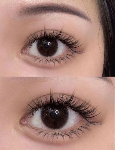 Lash Extensions Styles Natural Asian, Eye Extension Styles, Hybrid Lash Extensions Styles Asian Eyes, Natural Asian Eyelash Extensions, Eyelash Extension Asian Eyes, Natural Asian Lash Extensions, Lower Eyelash Extensions, Natural Doll Eyelash Extensions, Natural Anime Lashes