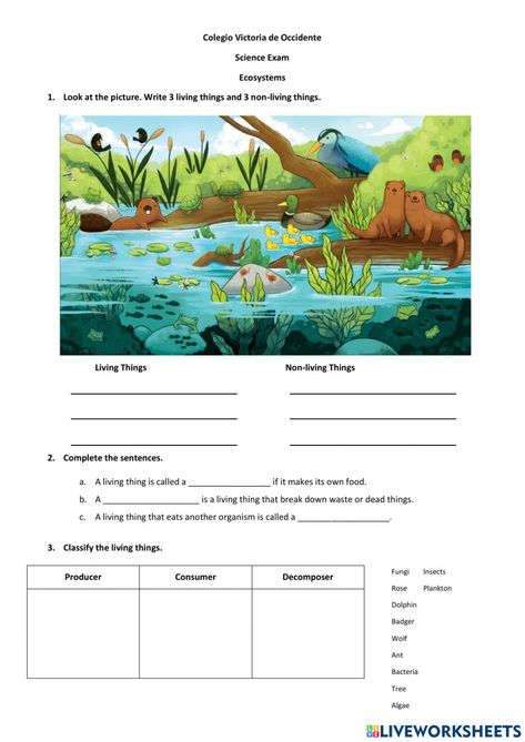 Ecosystem Lesson Plans, Changes In Ecosystems Activities, Ecosystem Activities 3rd, Ecosystem Activities Middle School, Decomposers Science Activity, Ecosystem Activities For Kids, 3rd Grade Science Worksheets, Ecosystems Activities, Biodiversity Worksheet