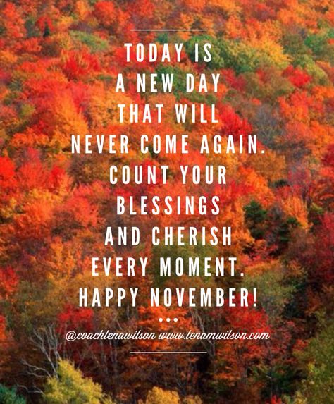 Happy November! Funny November 1st Quotes, New Month November Quotes, Happy November Quotes, November Quotes Motivation, New Month November, Happy New Month November, 2025 Quotes, November Inspiration, Happy November 1st