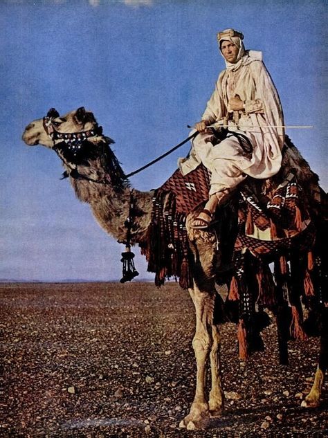 Laurence Of Arabia, Lawrence Of Arabia Poster, King Paimon, Arab Revolt, T E Lawrence, Film Cult, Peter O'toole, Lawrence Of Arabia, Digital Museum