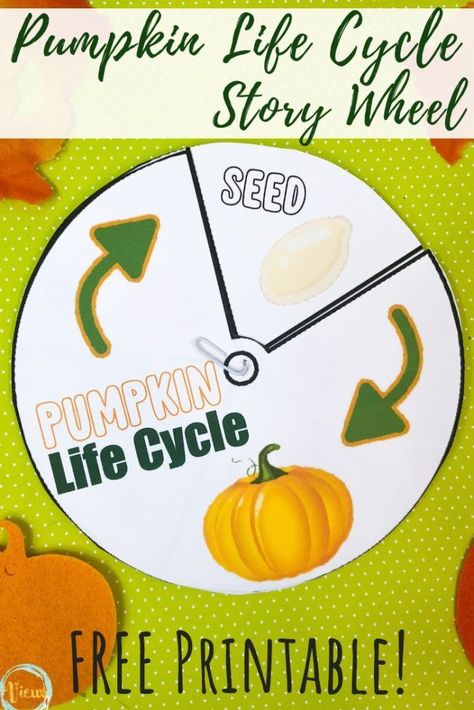 This pumpkin sensory bin resembles everything you would find at a real pumpkin patch. Free printable pumpkin life cycle story wheel. Kids can pick and count pumpkins, see farm animals, and more! #fallactivities #sensoryplay #kidsactivities #parenting #preschool #kidsactivities #toddlers Pumpkin Sensory Bin, Pumpkin Sensory, Gratitude Crafts, Life Cycles Preschool, Pumpkin Lessons, Pumpkins Preschool, Pumpkin Life Cycle, Life Cycles Activities, Pumpkin Activities